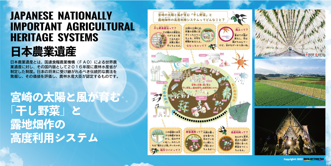 日本農業遺産　大根やぐら